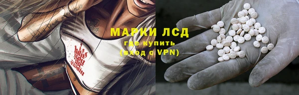амф Заволжье
