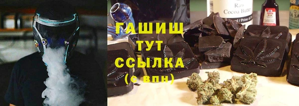 винт Ельня