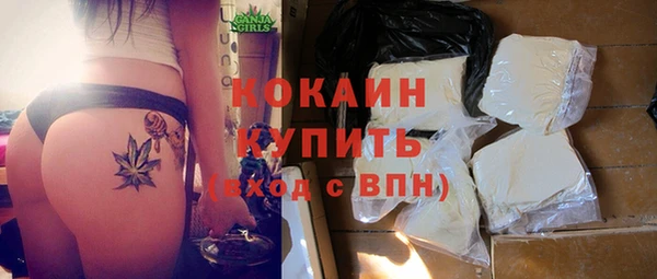 винт Ельня