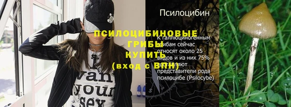 амф Заволжье