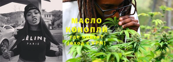 винт Ельня