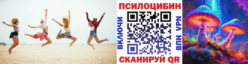 Купить закладки  Елабуга  Галлюциногенные грибы Cubensis 